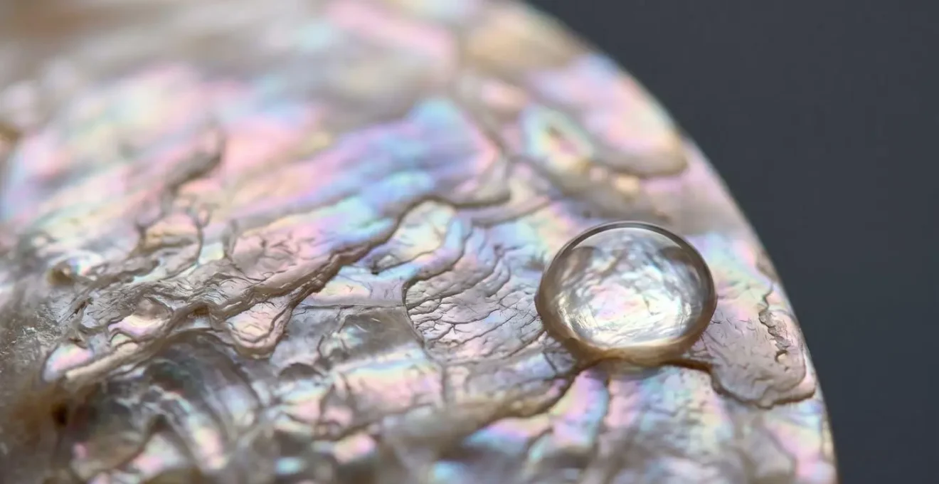 Gros plan sur une surface de nacre veritable montrant les reflets iridescents menaces par l'eau et les produits de douche