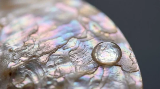 Gros plan sur une surface de nacre veritable montrant les reflets iridescents menaces par l'eau et les produits de douche